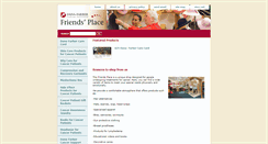 Desktop Screenshot of dana-farberfriendsplace.org